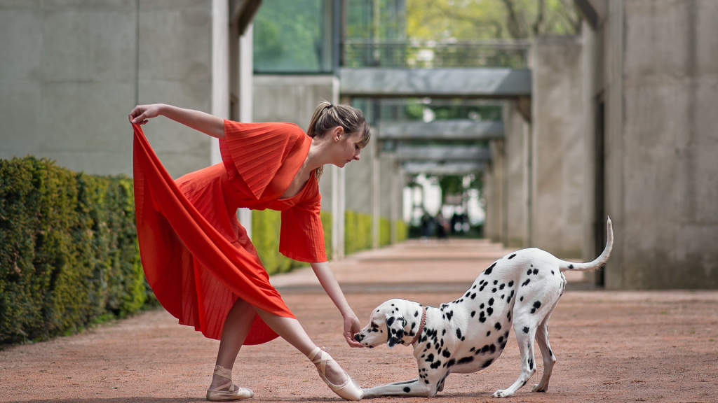 12 февраля официальные соревнования «Танцы с собаками».