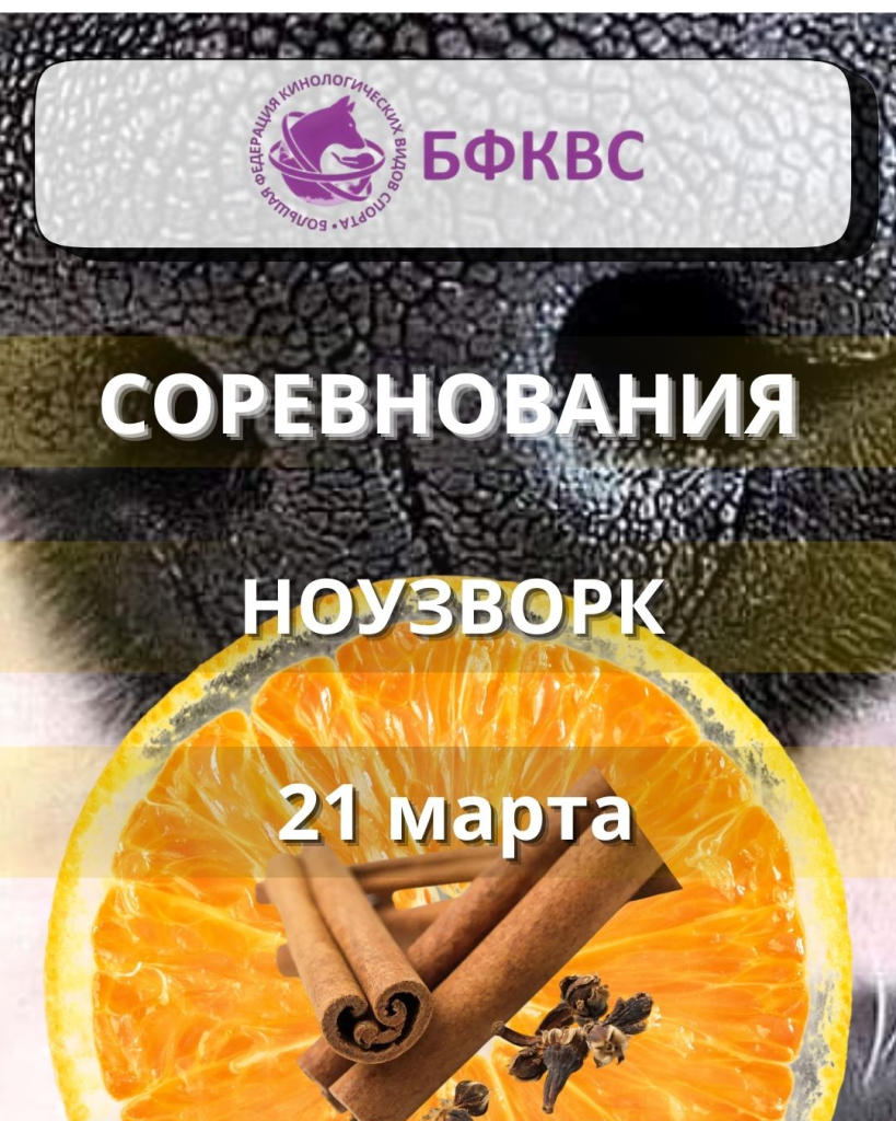 Соревнования НОУЗВОРК 21 марта