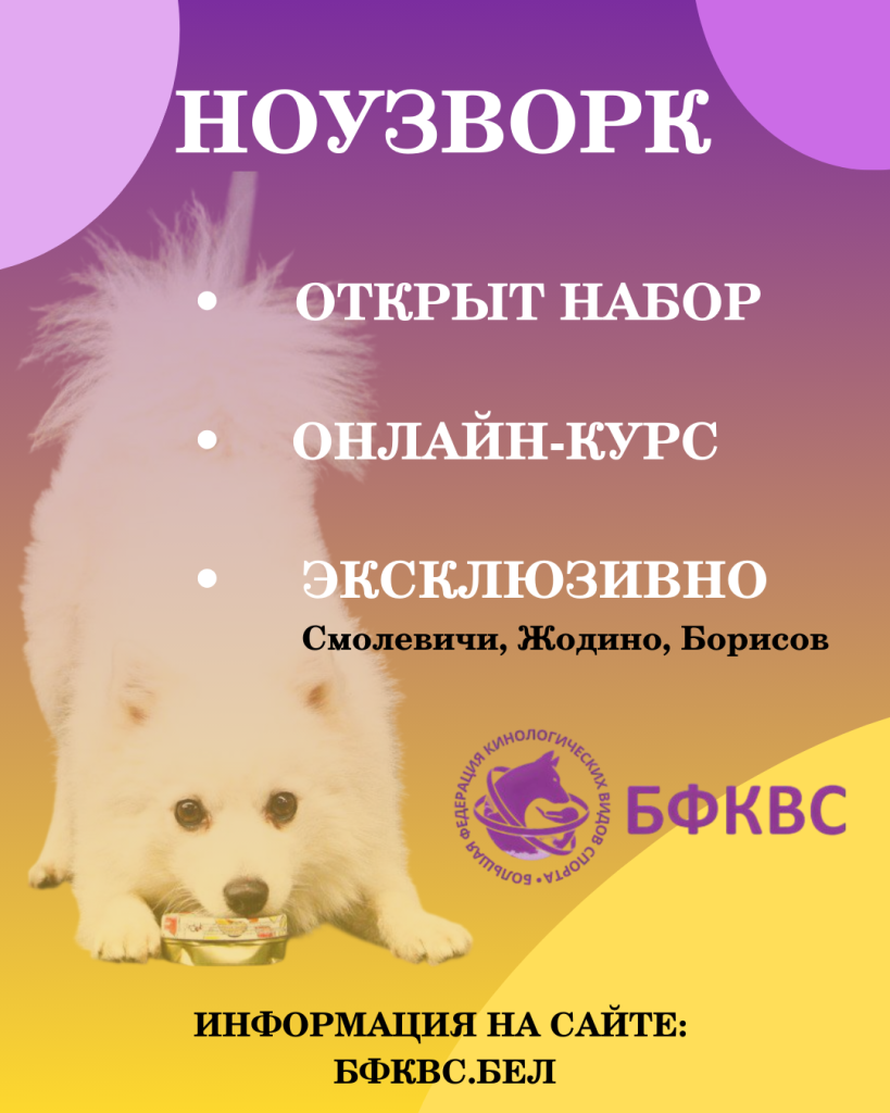 НАБОР В ГРУППЫ НОУЗВОРК