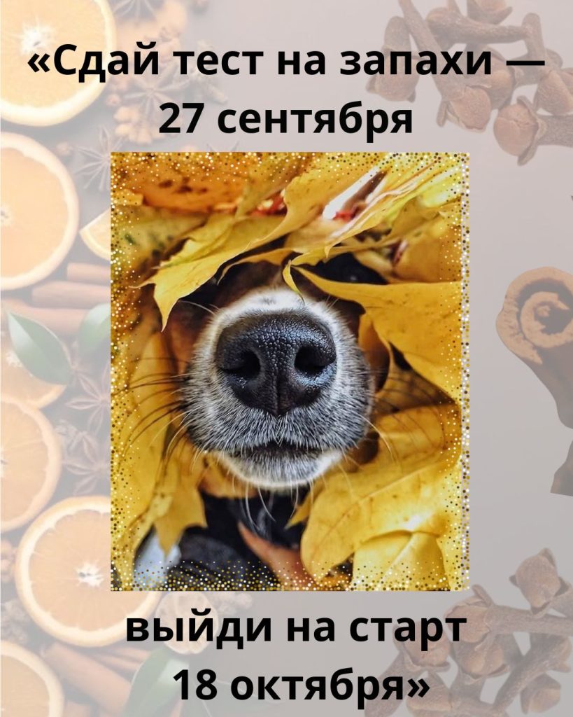 27 сентября тестирование «Ноузворк».