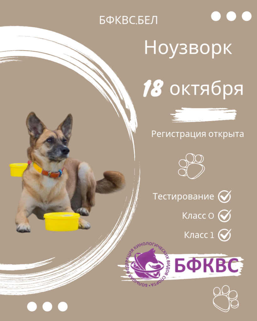 Соревнования ноузворк 18 октября