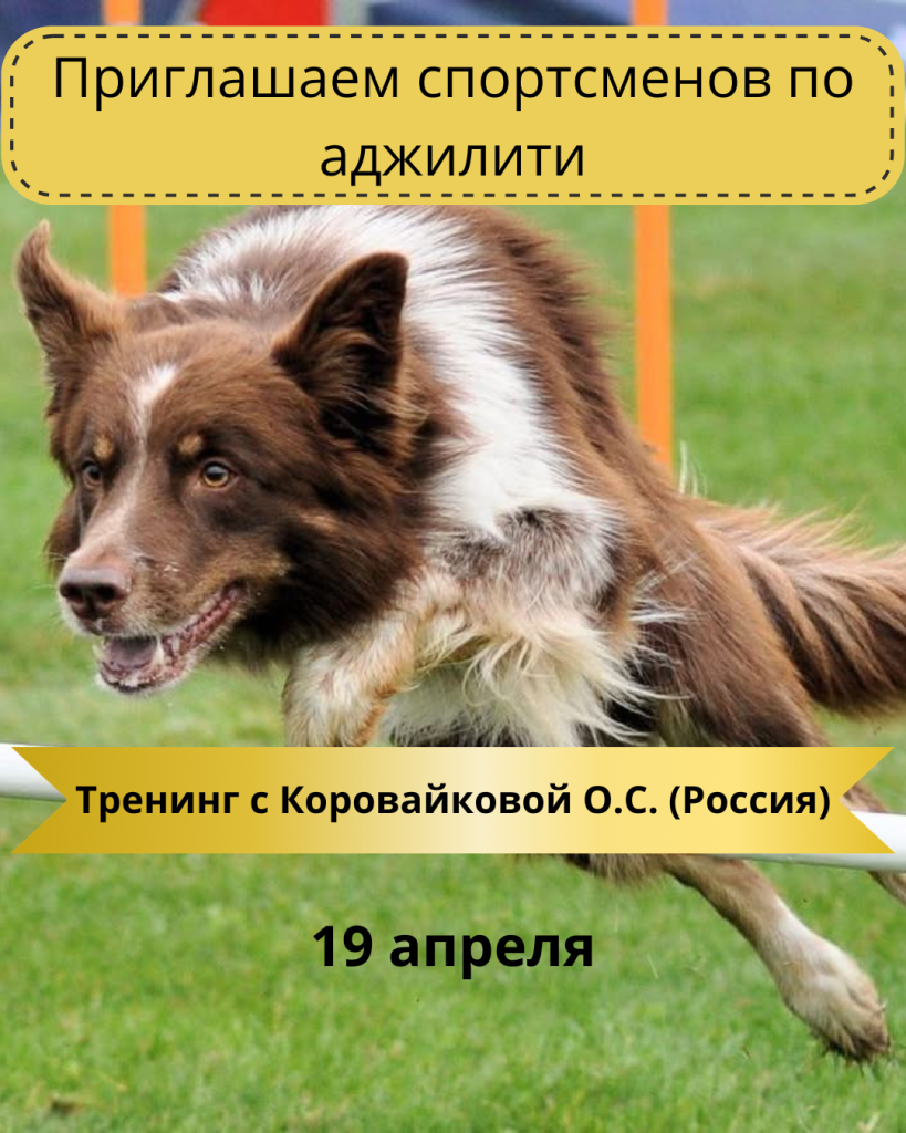 Тренировка с Коровайковой О.С.